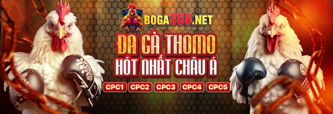 Game thủ esports đang thi đấu trong một giải đấu lớn tại zalv888 casino